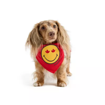 SMILEY WORLD Maple Leaf Dog Bandana - Image 1