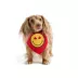SMILEY WORLD Maple Leaf Dog Bandana image thumbnail 1