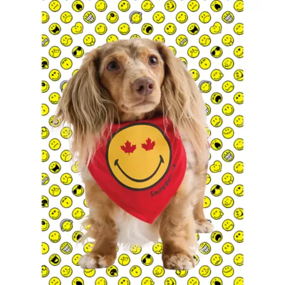 SMILEY WORLD Maple Leaf Dog Bandana - Image 4