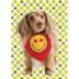 SMILEY WORLD Maple Leaf Dog Bandana image thumbnail 4