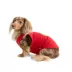 SMILEY WORLD Smiley Maple Leaf Eyes Red Dog Tank Top image thumbnail 2