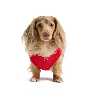 SMILEY WORLD Smiley Maple Leaf Eyes Red Dog Tank Top - Image 3