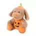PetSmart Charities® Chance & Friends Dog Toy-Chance image thumbnail 2