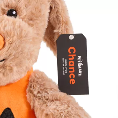 PetSmart Charities® Chance & Friends Dog Toy-Chance - Image 4