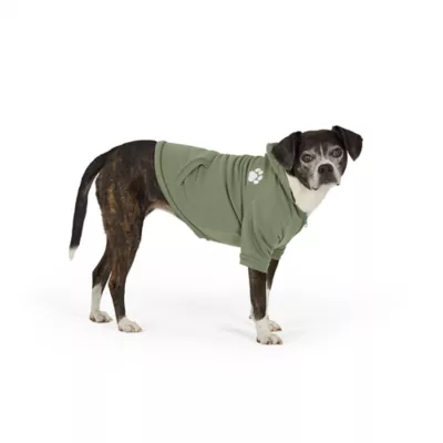 Top Paw® Dog Hoodie, Multiple Colors, 2X Small - X Large - Image 1