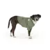 Top Paw® Dog Hoodie, Multiple Colors, 2X Small - X Large image thumbnail 1