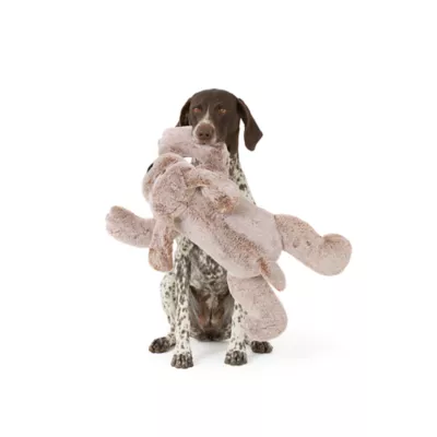Thrills & Chills™ Halloween Plush XL Dog Dog Toy - Image 1