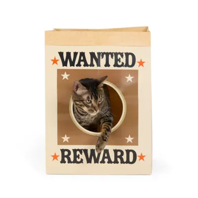 Thrills & Chills™ Halloween Wanted Sack Cat Toy - Image 1
