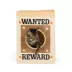 Thrills & Chills™ Halloween Wanted Sack Cat Toy image thumbnail 1