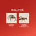 Thrive Reptile & Invertebrate Mini Food & Water Bowl - Reptile Food & Water Bowl image thumbnail 2