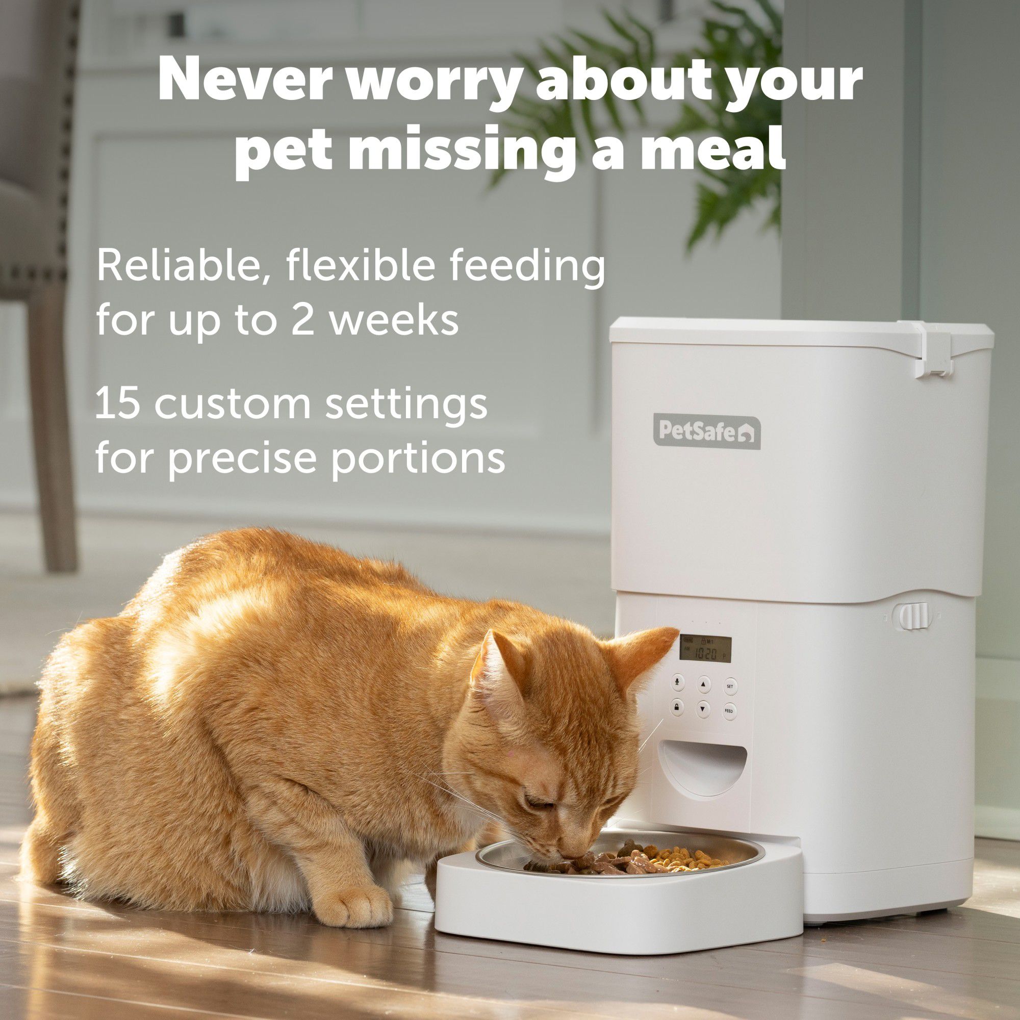 PetSafe FlexFeed Stainless Steel Automatic Cat Feeder, 60 oz - thumbnail 3