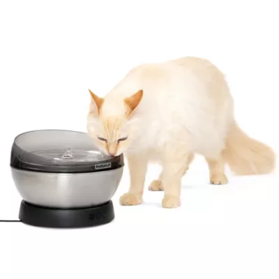 PetSafe HydroSphere 60 oz Stainless Steel Cat Fountain - Image 2