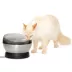 PetSafe HydroSphere 60 oz Stainless Steel Cat Fountain image thumbnail 2