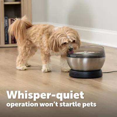 PetSafe HydroSphere 60 oz Stainless Steel Cat Fountain - Image 5