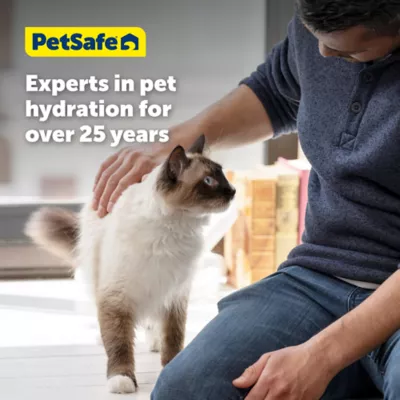 PetSafe HydroSphere 60 oz Stainless Steel Cat Fountain - Image 9