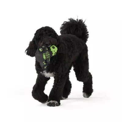 Joyhound® 3D Rip Roarin Bear Dog Toy - Image 2