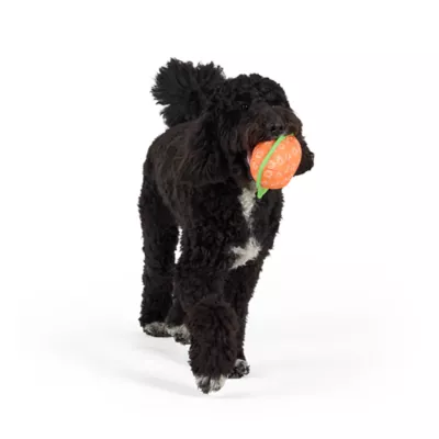 Joyhound® 3D Rip Roarin Pumpkin Dog Toy - Image 2