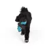 Joyhound® 3D Rip Roarin Bat Dog Toy image thumbnail 2