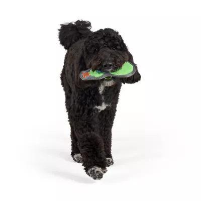 Joyhound® Rip Roarin Alien Dog Toy - Image 2
