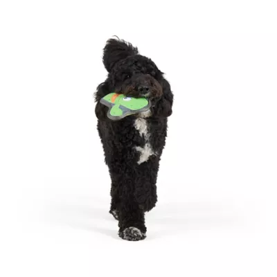 Joyhound® Rip Roarin Cactus Dog Toy - Image 2