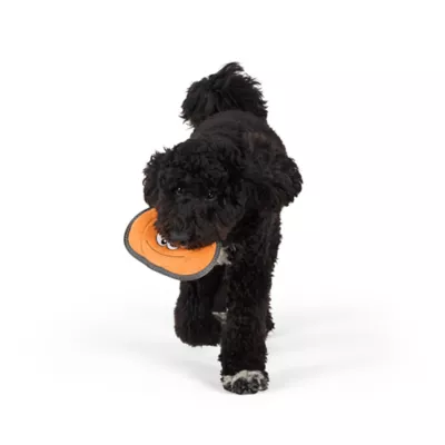 Joyhound® Rip Roarin Pumpkin Dog Toy - Image 2
