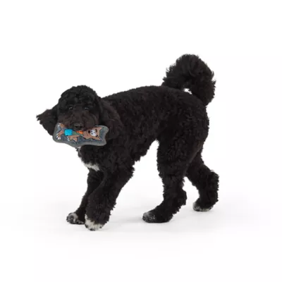 Joyhound® Rip Roarin Wolf Dog Toy - Image 2