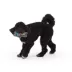 Joyhound® Rip Roarin Wolf Dog Toy image thumbnail 2