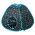 Thrills & Chills™ Halloween Pop-Up Cat Tent image thumbnail 1