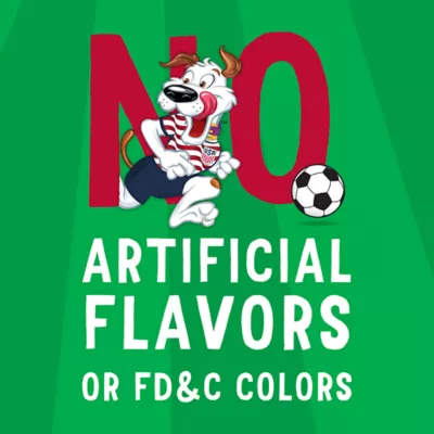 Purina Beggin' U.S. Soccer Crest-Shaped Treats for Dogs Made with Real Bacon 6 oz - Image 4