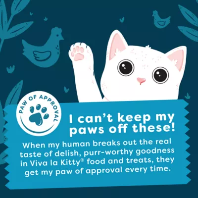 Viva La Kitty Adult Cat Wet Food - Pate, Variety Pack, 12 ct, 36 oz - Image 5