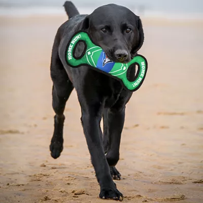 Pets First Toronto Blue Jays Field Dog Toy - Image 2