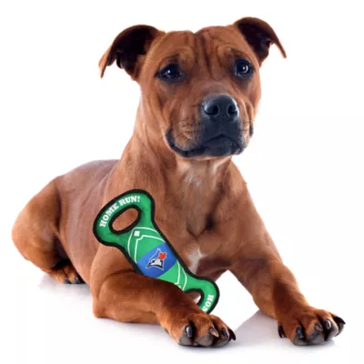 Pets First Toronto Blue Jays Field Dog Toy - Image 3