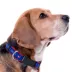 Pets First Toronto Blue Jays Satin Dog Collar image thumbnail 4
