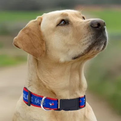 Pets First Toronto Blue Jays Satin Dog Collar - Image 5