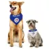 Pets First Toronto Blue Jays Rev Dog Bandana image thumbnail 5
