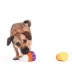 BARK Candy Corn Plush Dog Toy 2-Pack image thumbnail 4