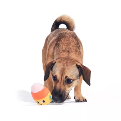 BARK Candy Corn Plush Dog Toy 2-Pack - Image 5