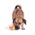 BARK Candy Corn Plush Dog Toy 2-Pack image thumbnail 5