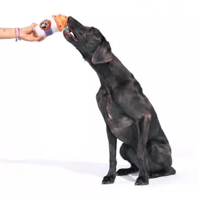BARK Frappacino Dog Toy - Image 4