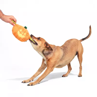 BARK Pumpkin Bat Dog Toy - Image 4