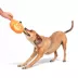 BARK Pumpkin Bat Dog Toy image thumbnail 4