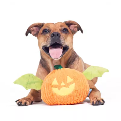 BARK Pumpkin Bat Dog Toy - Image 5