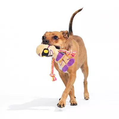 BARK Rope Mummy Dog Toy - Image 3