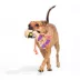 BARK Rope Mummy Dog Toy image thumbnail 3