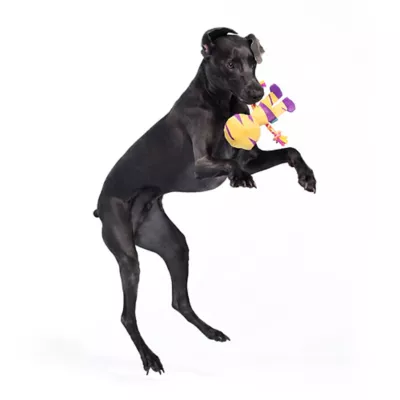BARK Rope Mummy Dog Toy - Image 4