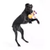 BARK Rope Mummy Dog Toy image thumbnail 4
