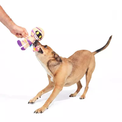 BARK Rope Mummy Dog Toy - Image 5
