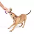 BARK Rope Mummy Dog Toy image thumbnail 5