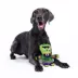 BARK Frankenstein Dog Toy image thumbnail 3