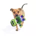 BARK Frankenstein Dog Toy image thumbnail 4